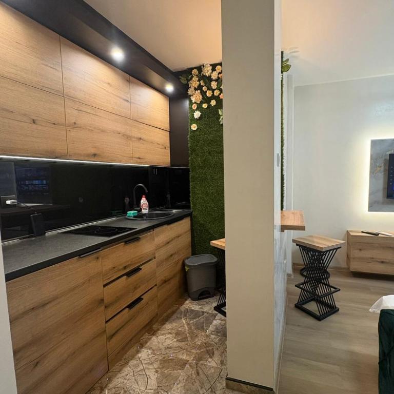Centar Stan na dan sa parkingom - One-Bedroom Apartment - 4