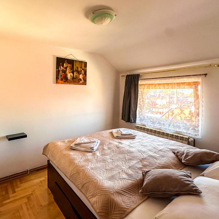 View of Vijećnica - Apartman sa 2 Spavaće Sobe - 29