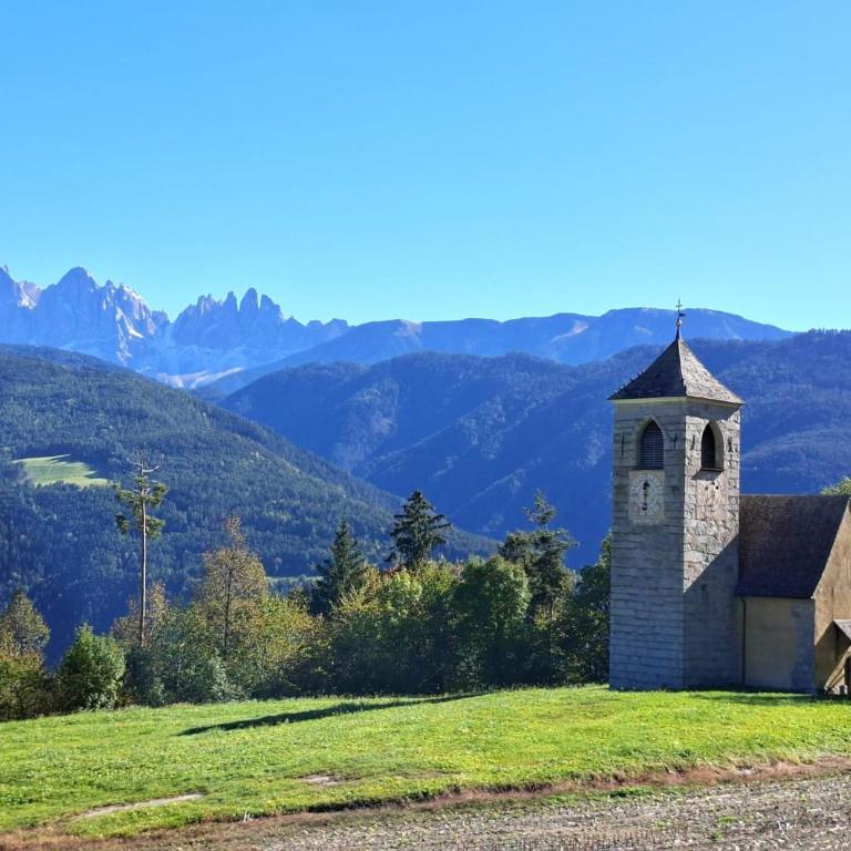 Praterhof Chalet in Südtirol - Natur, Ruhe & Bergblick - Appartamento con 1 Camera da Letto - 49