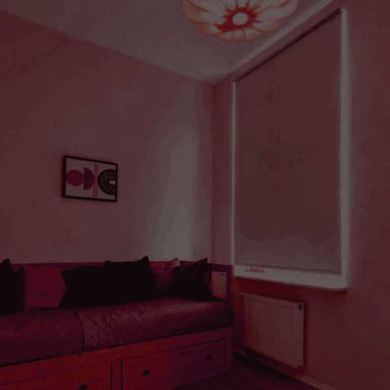 Bauthaus Gastte Dens - Haus mit 2 Schlafzimmern - 4