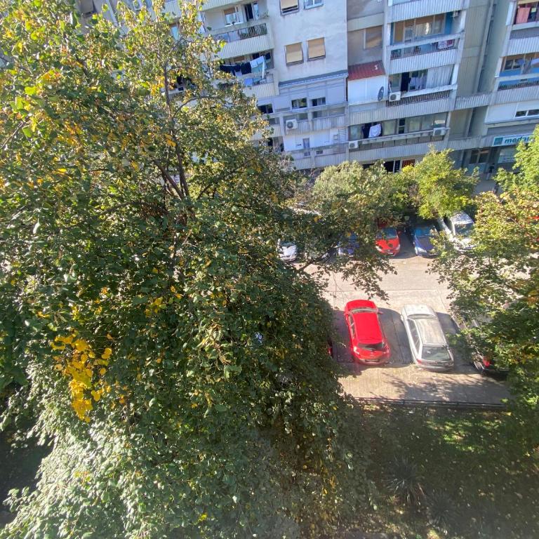 Podgorica Central Haven - Apartman sa 1 Spavaćom Sobom - 8