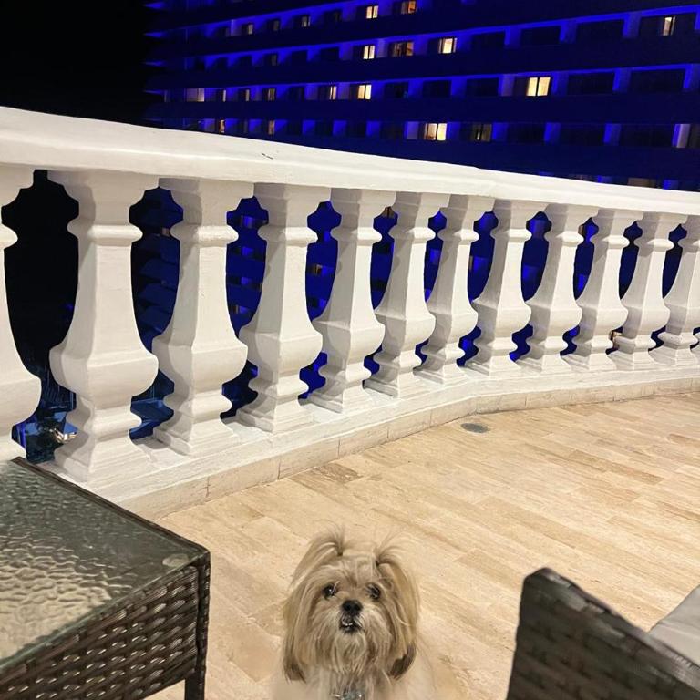 Apartment with parking and BEACH 2 nights minimum - Apartment mit 3 Schlafzimmern - 8