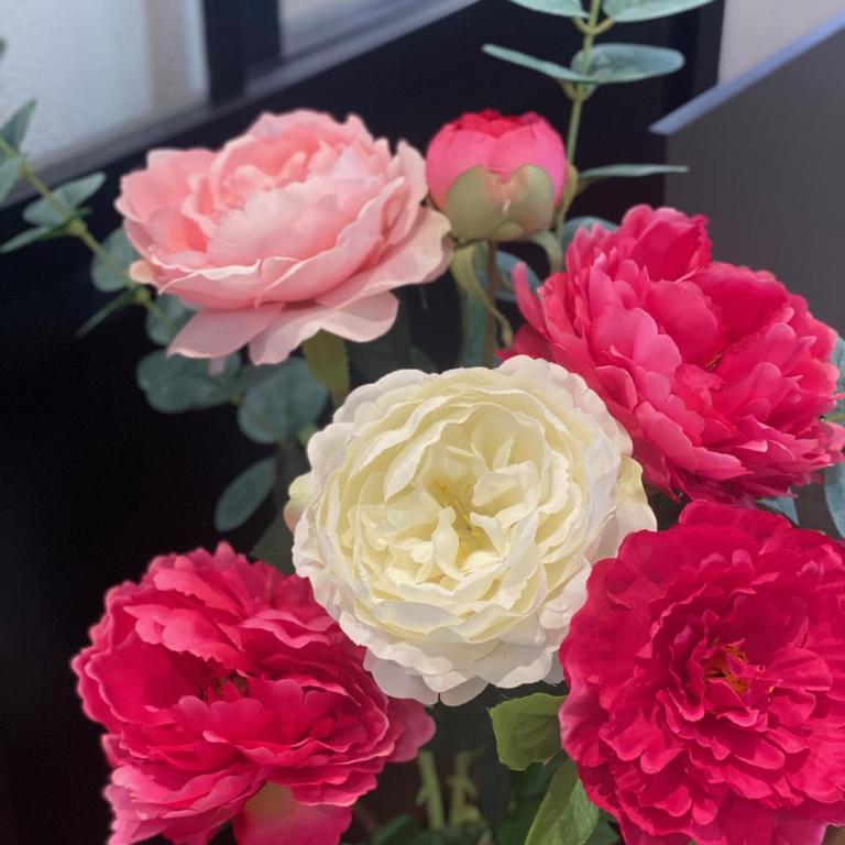 La Rose de mai - Au coeur du centre historique de Grasse - Appartamento con 1 Camera da Letto - 7
