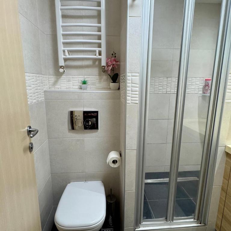 Apartman Danka Konaci Maglic Kopaonik - Apartman sa 1 Spavaćom Sobom - 7