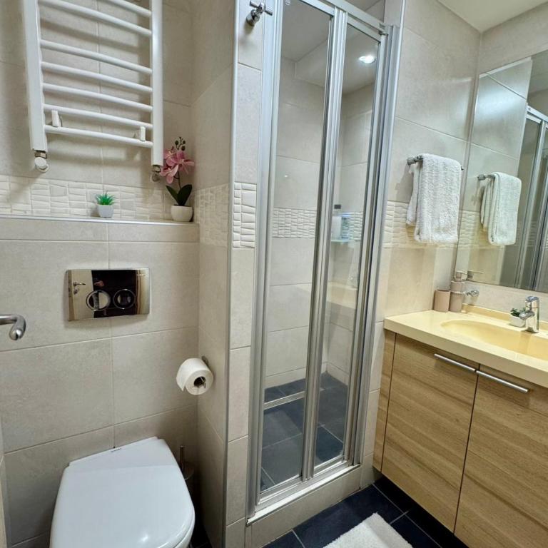 Apartman Danka Konaci Maglic Kopaonik - Apartman sa 1 Spavaćom Sobom - 8