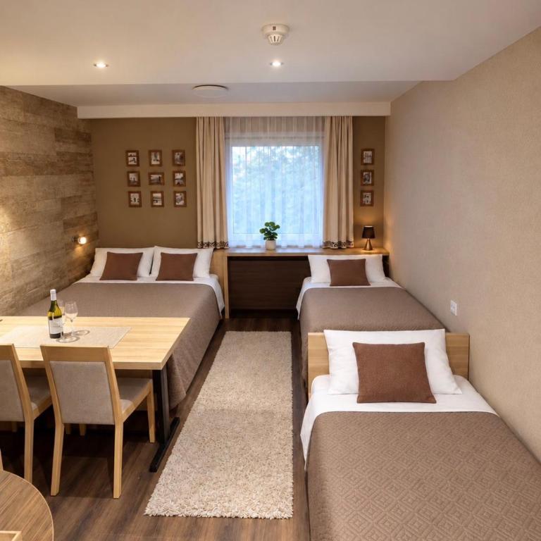 Apartman Danka Konaci Maglic Kopaonik - Apartman sa 1 Spavaćom Sobom - 3