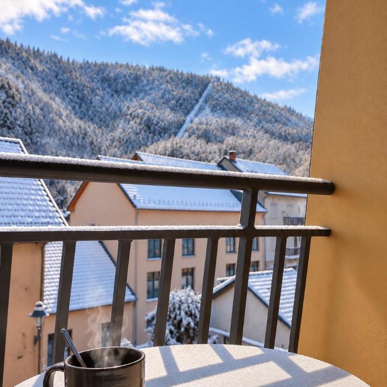 Les Suites d'Ax - Balcons des Pyrénées - Appartamento con 1 Camera da Letto - 12