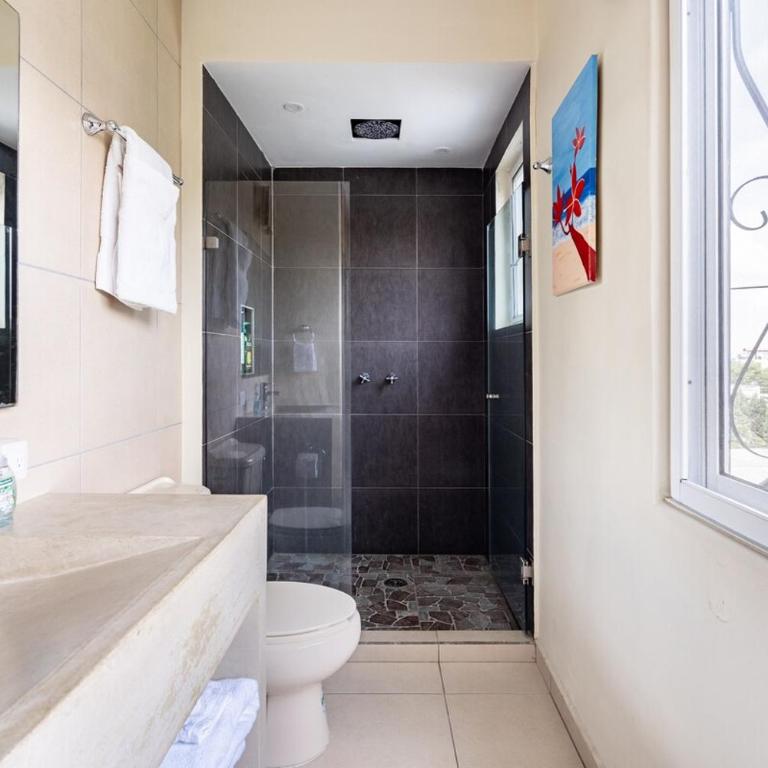 Delfin, at Casa Tres Soles Hideaway, 2Bedroom 2 Bath, Pool, near Beach and Downtown Bucerias - Apartamento de 2 dormitorios - 68