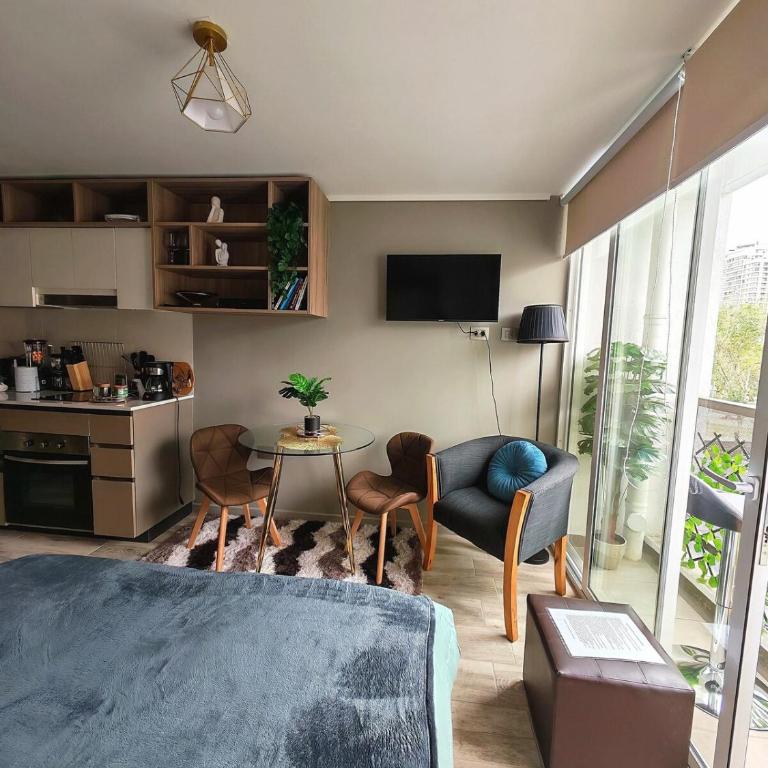 Fully equipped and independent apartment, Santiago Central - One-Bedroom Apartment - 9