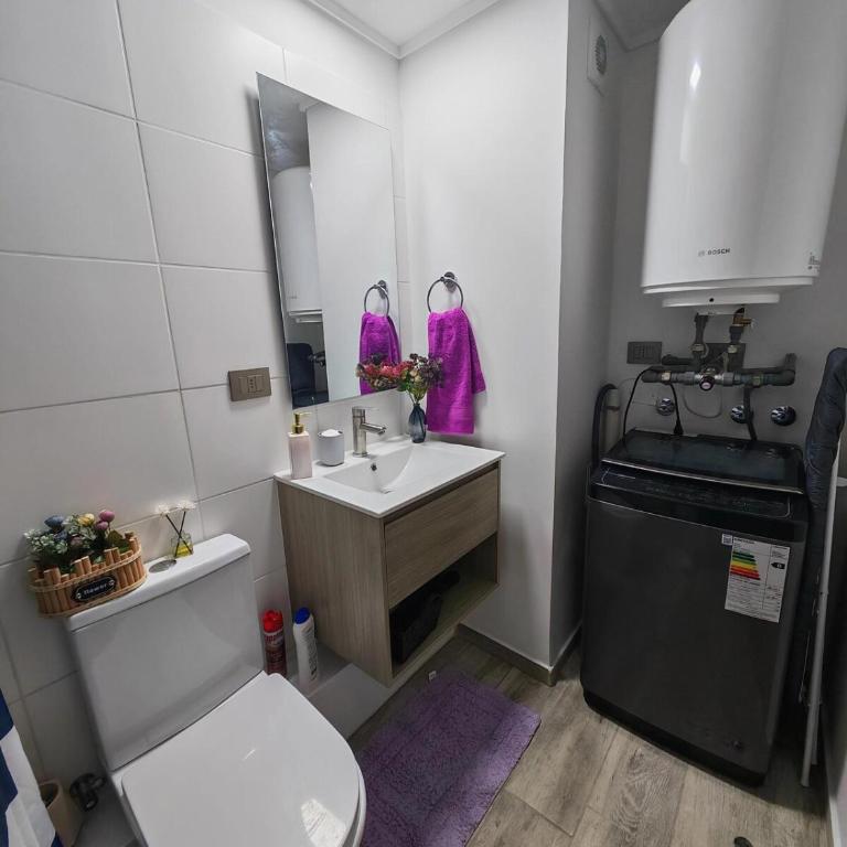 Fully equipped and independent apartment, Santiago Central - One-Bedroom Apartment - 23