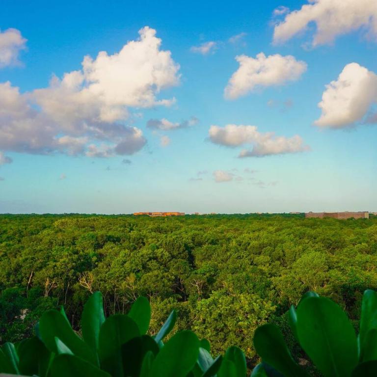 2-Bedroom Luxury Penthouse with Private Pool & Rooftop - Apartamento - 12
