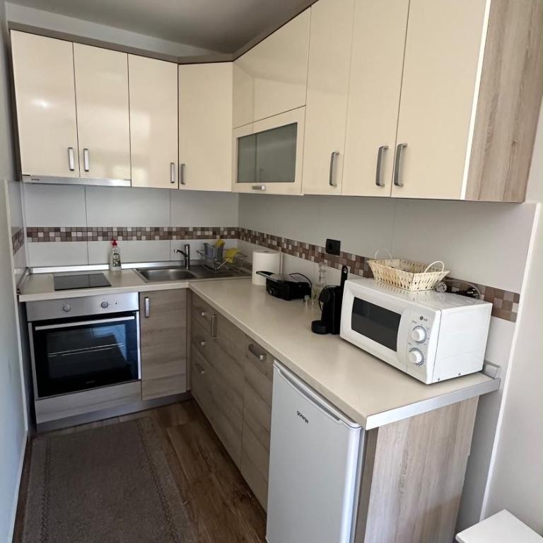 Apartman ASKA - Apartman sa 1 Spavaćom Sobom - 6