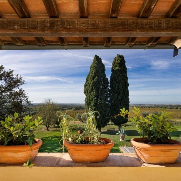 Villa Mare, Bolgheri by Geco Vacation Rentals - Ferienhaus - 8