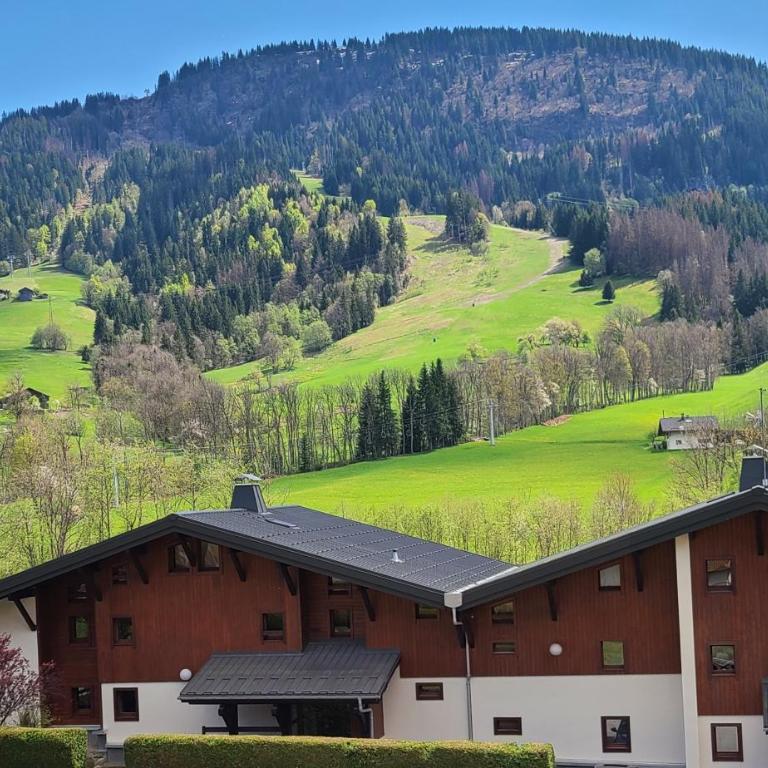 2 prvilb66 - Studio - Vue sur Montagne - 7