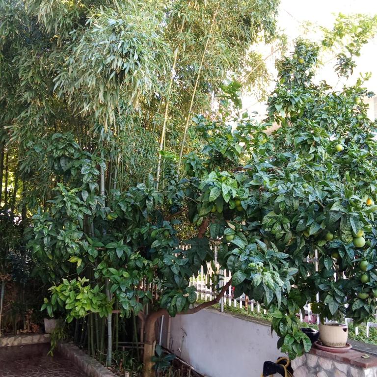Dea's House con parcheggio - Appartamento Monolocale - 26