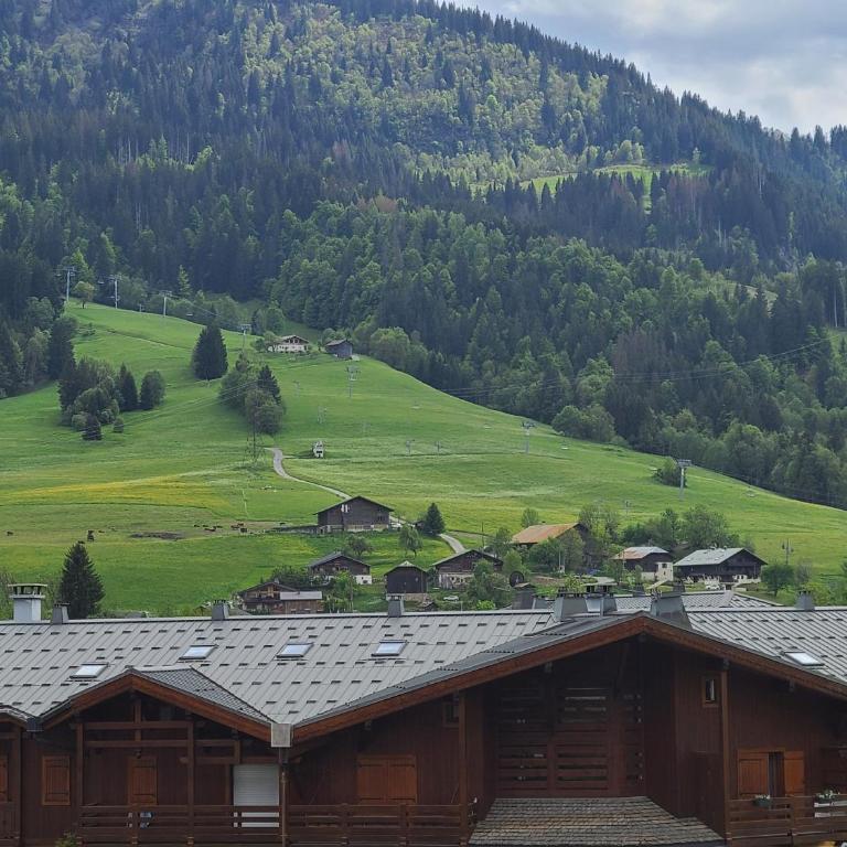 2 po1223 appartement 2 chambres 6 personnes - Two-Bedroom Apartment with Mountain View - 8