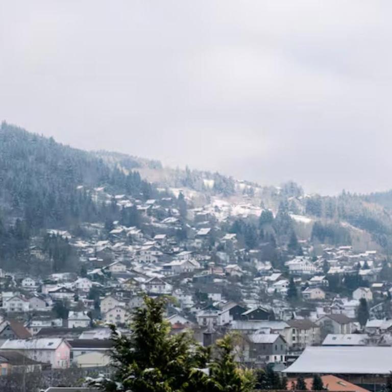 Le refuge du petit renne - Apartamento de 2 dormitorios - 29