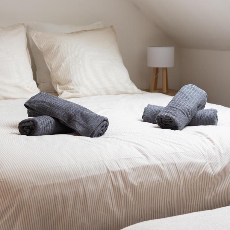 Le Celeste - Centre Ville - Calme - Cosy - Appartement 1 Chambre - 26