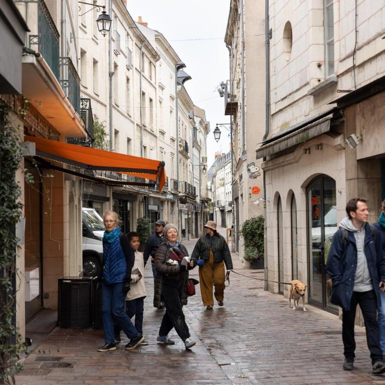 Le Celeste - Centre Ville - Calme - Cosy - Appartement 1 Chambre - 17