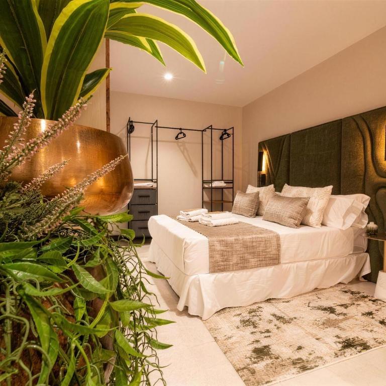 Boutique Nou Mestalla - Standard Apartment - 1