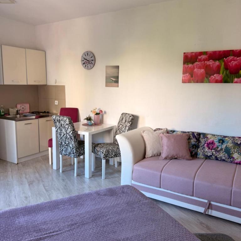 Apartments Jadran - Studio s Terasom i Pogledom na More - 6