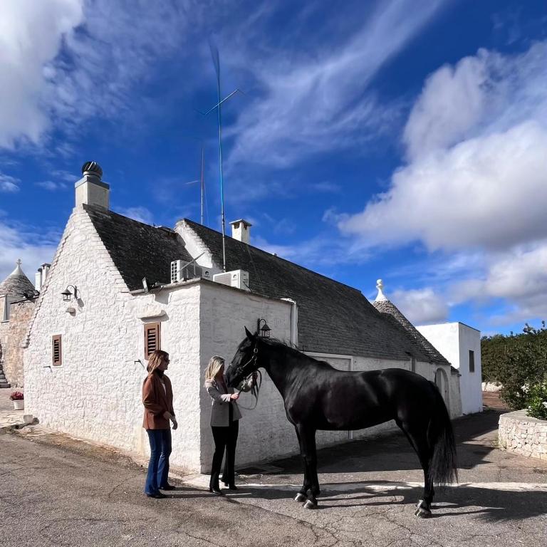 Trullo Morgy - Casa con 2 Camere da Letto - 29