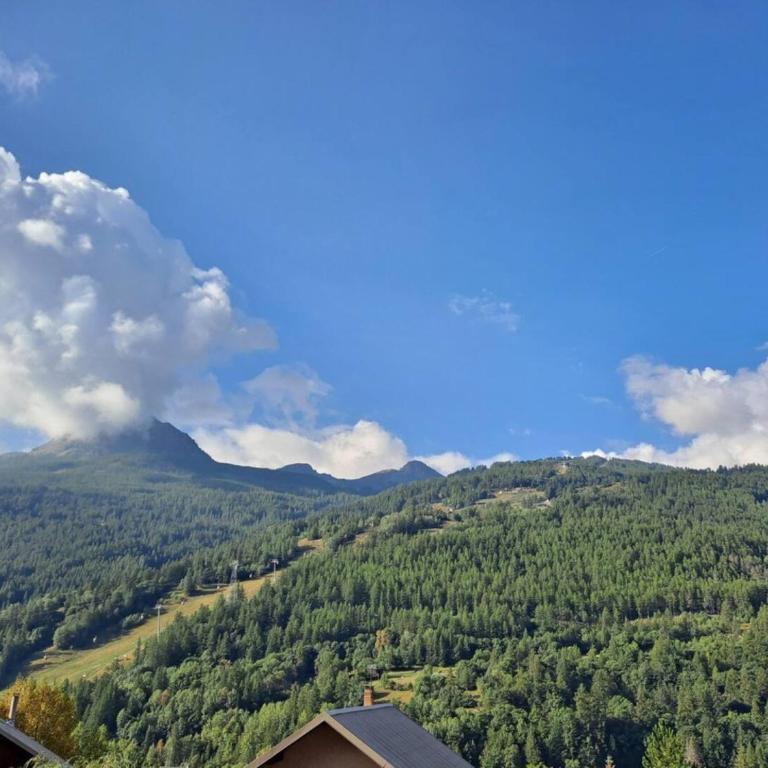 Appartement vue piste Luc Alphand - Appartamento Superior con 1 Camera da Letto e Balcone - 7