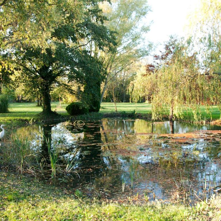 maison près de l'eau - Casa - 27