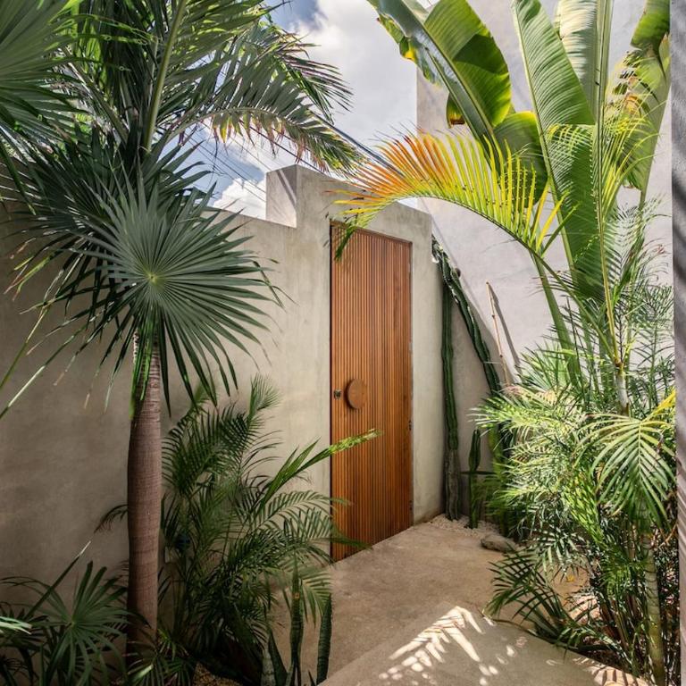 Casa Copal & Beach Club Included - Villa 3 Chambres - 32