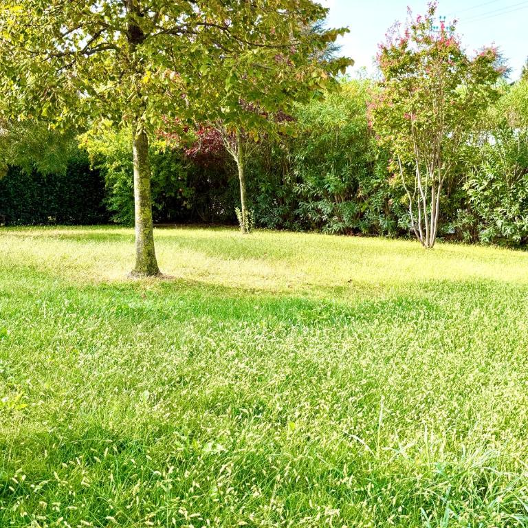 Villa Blanka by Susanne Living - Villa con Vista Giardino - 6