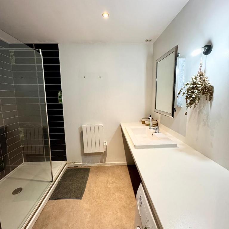 Reims City Duplex avec parking inclus - Apartment - 12