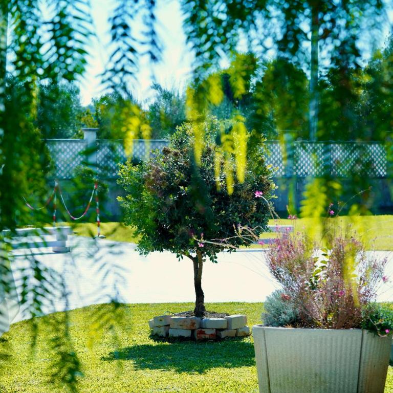 Villa RiRò Bari - Villa con Vista Giardino - 95