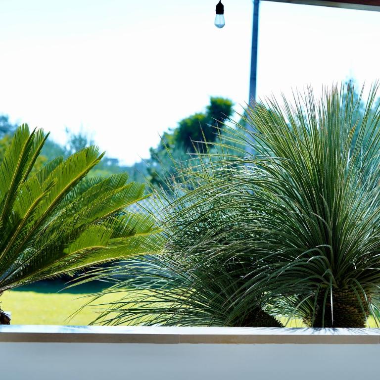 Villa RiRò Bari - Villa con Vista Giardino - 96