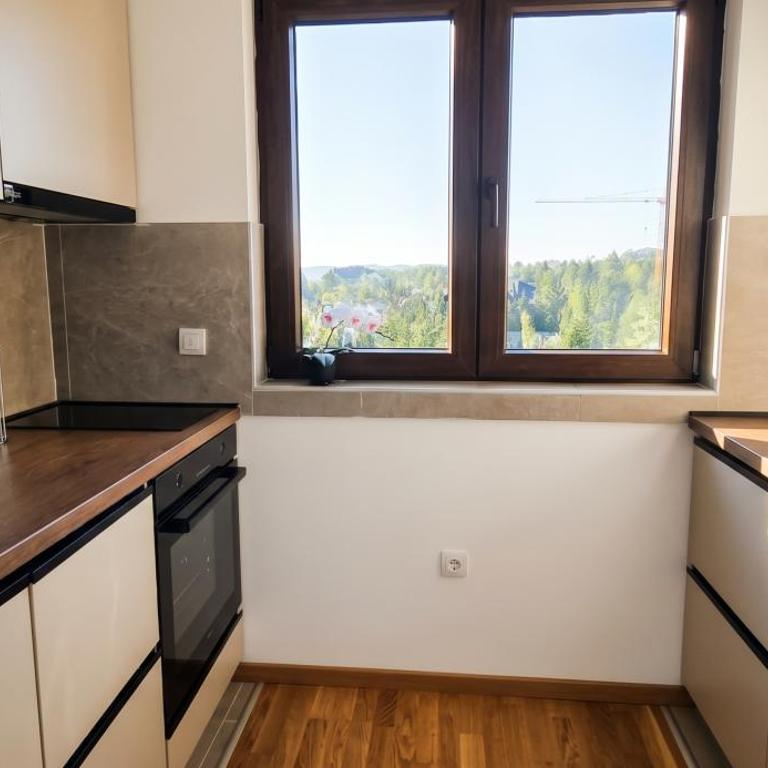 Apartman Dinić Zlatibor - Apartman sa 2 Spavaće Sobe - 11