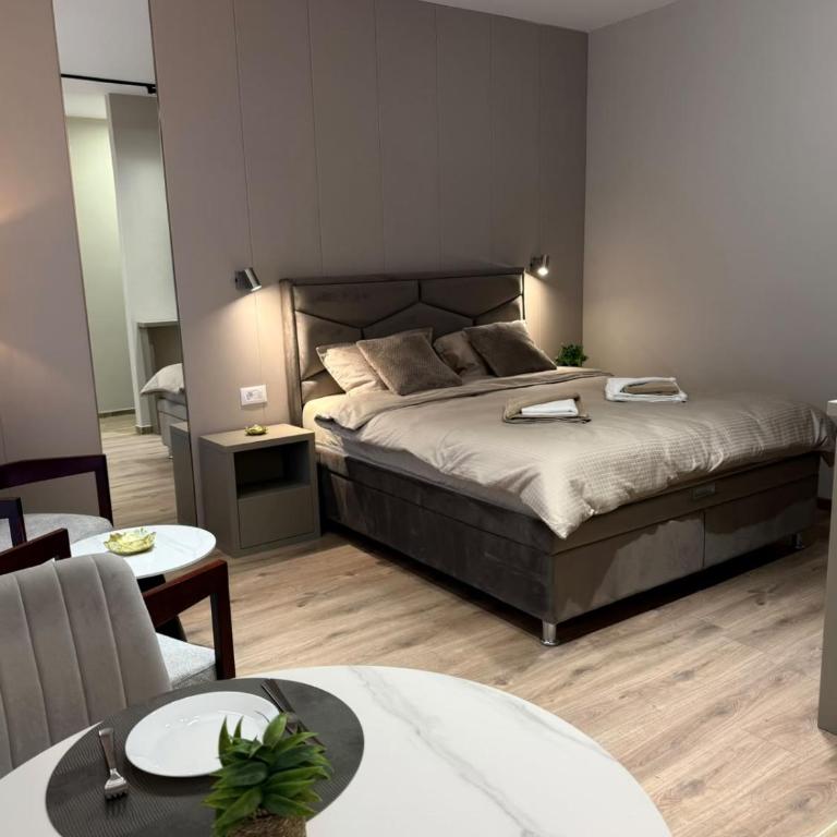 Dan Salon Belgrade Central - One-Bedroom Apartment - 1