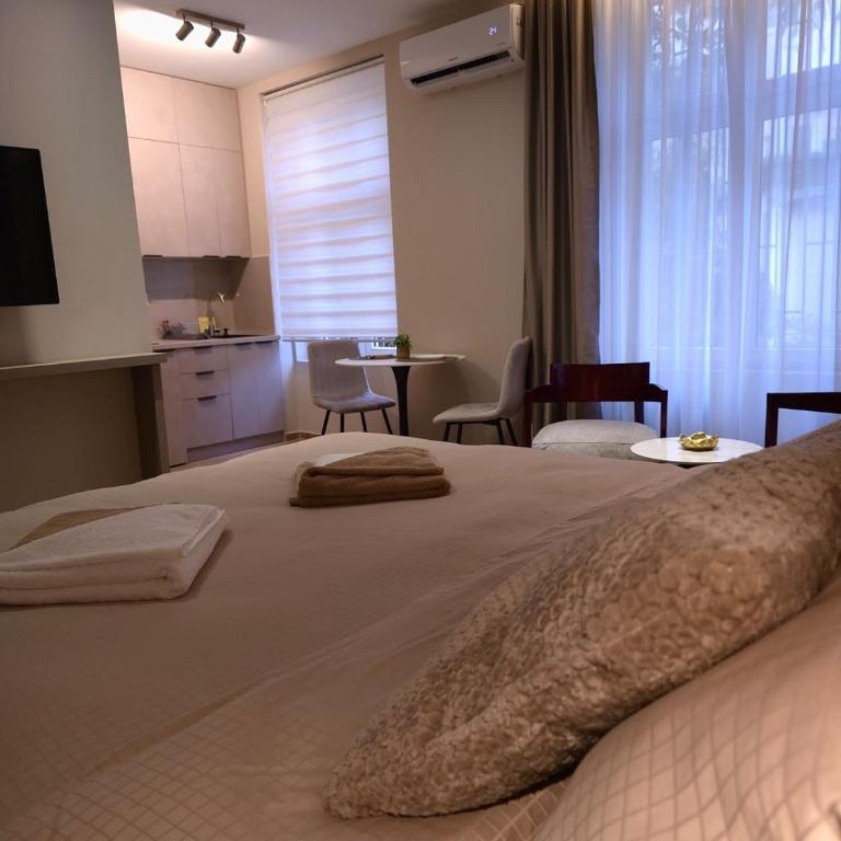 Dan Salon Belgrade Central - One-Bedroom Apartment - 5