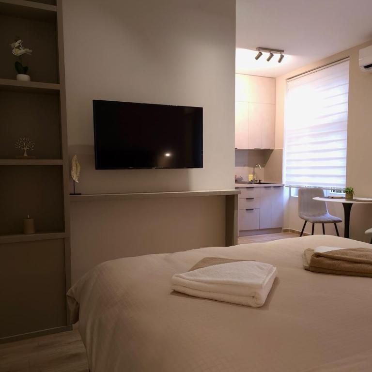 Dan Salon Belgrade Central - One-Bedroom Apartment - 3