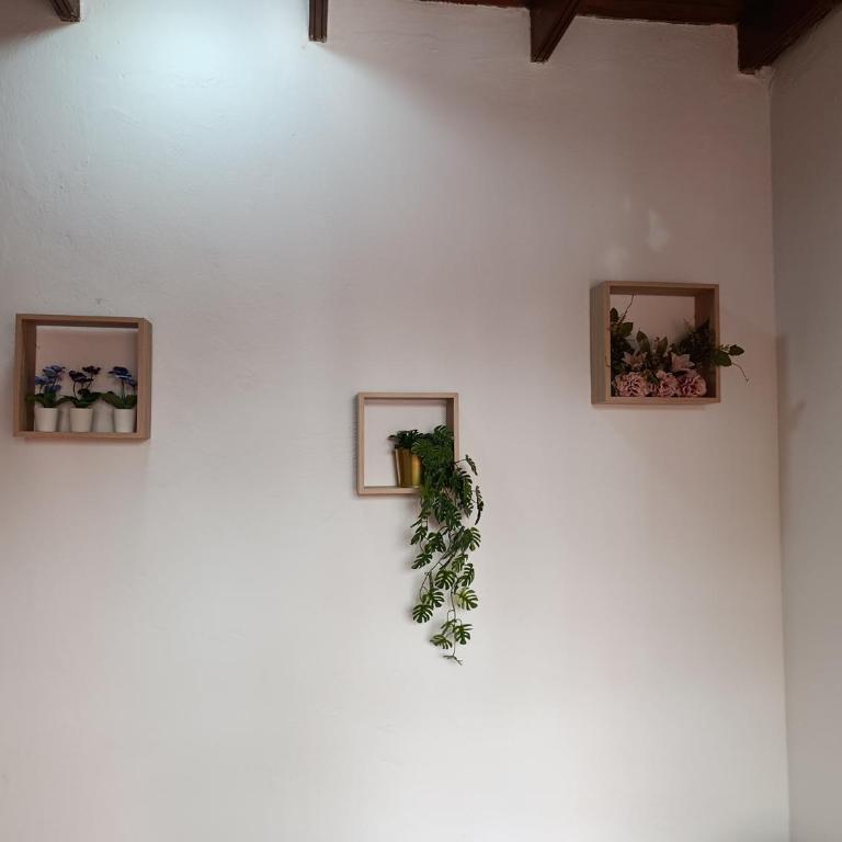 Casa carlos - Appartement 1 Chambre - 20