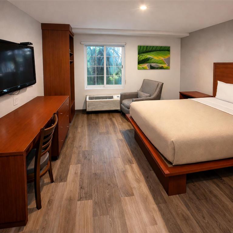 Extended Suites Monterrey Aeropuerto - Suite con cama grande - 13