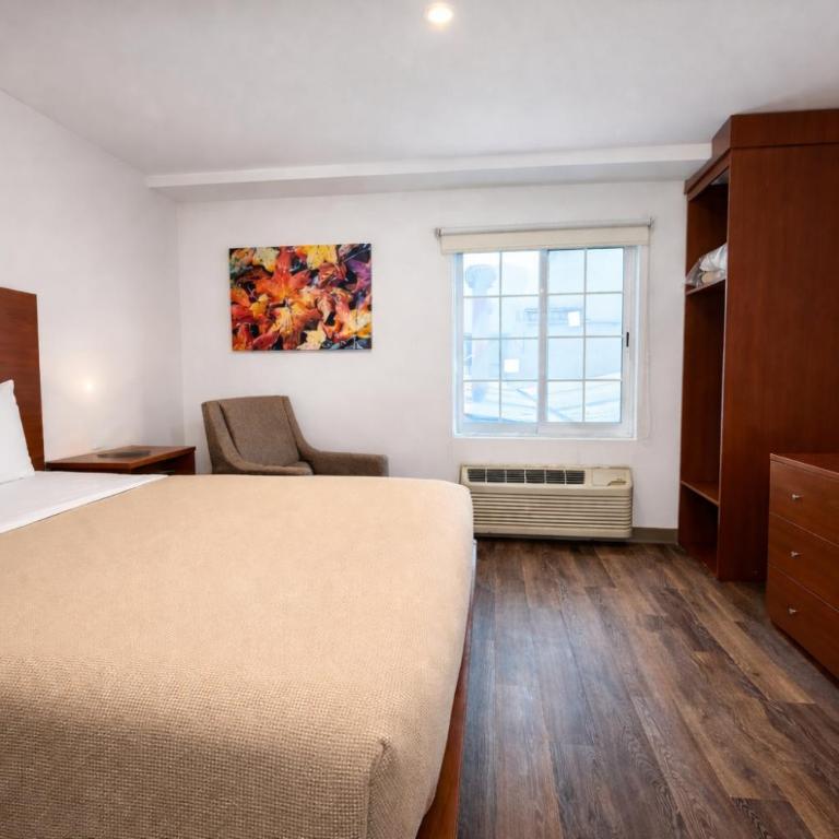 Extended Suites Monterrey Aeropuerto - Suite con cama grande - 15