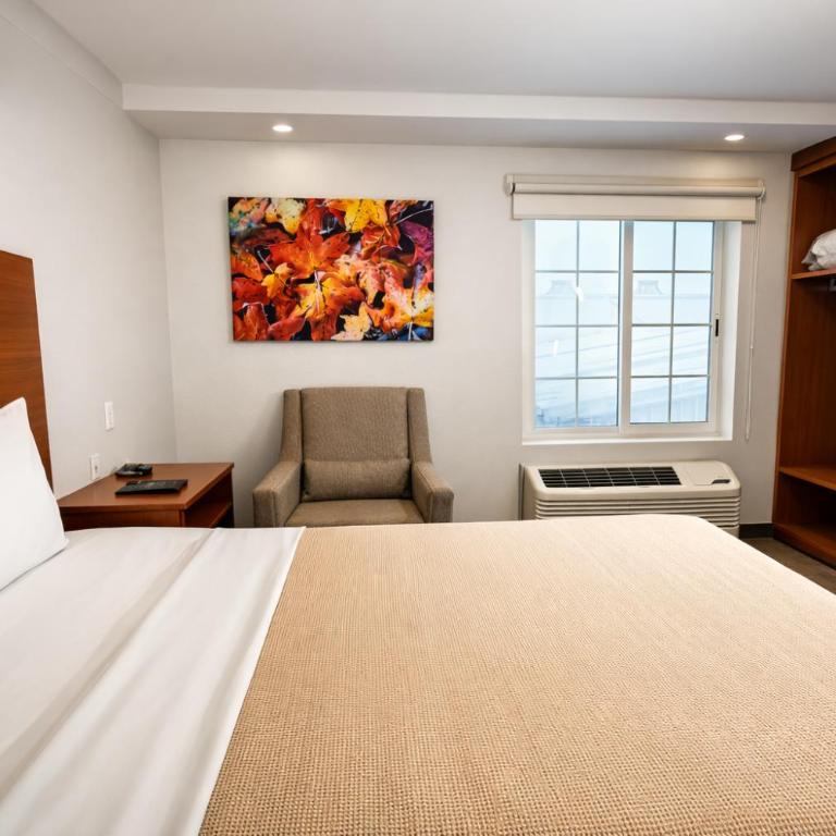 Extended Suites Monterrey Aeropuerto - Suite con cama grande - 16