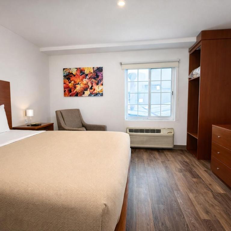 Extended Suites Monterrey Aeropuerto - Suite con cama grande - 3