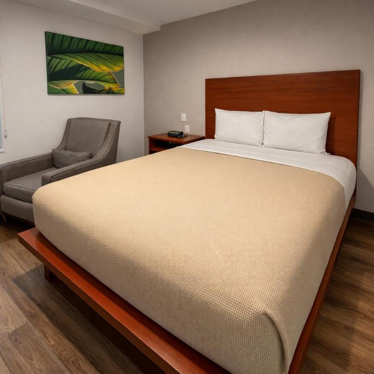 Extended Suites Monterrey Aeropuerto - Suite con cama grande - 5