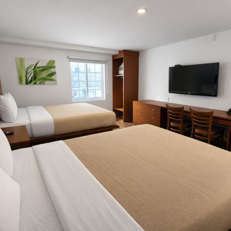 Extended Suites Monterrey Aeropuerto - Suite con 2 camas grandes - 12