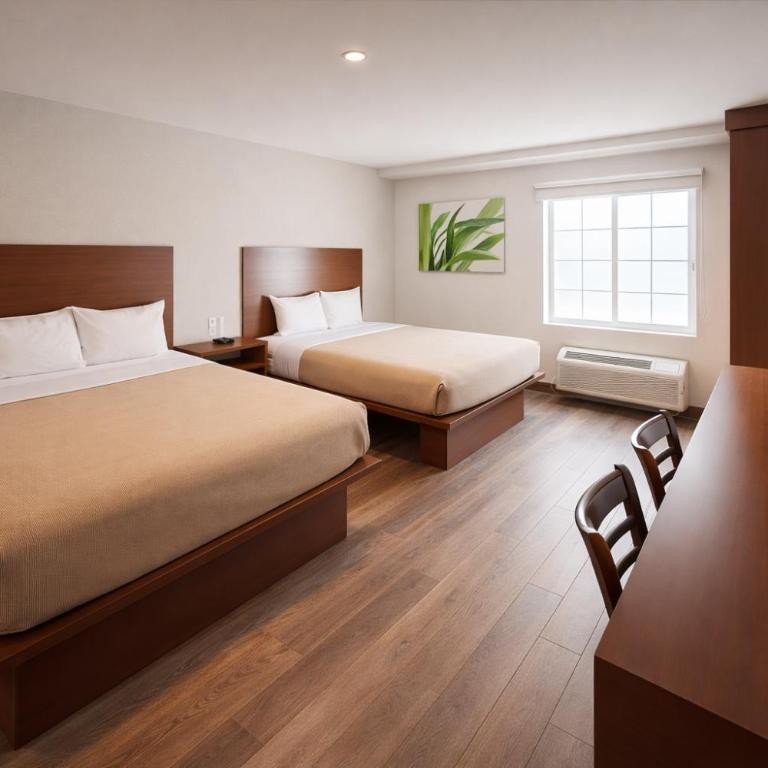 Extended Suites Monterrey Aeropuerto - Suite con 2 camas grandes - 11