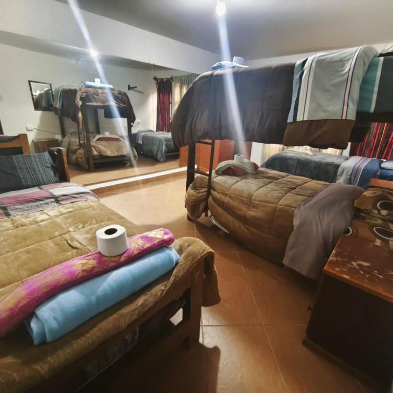 Aldos Eco Climbing Hostel - 4-Bed Mixed Dormitory Room - 1