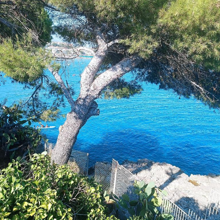 Villa Ninetta-Isabella - Two-Bedroom House - 42