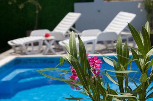 Summer House with Heated Swimming Pool - Appartement avec Piscine - 15