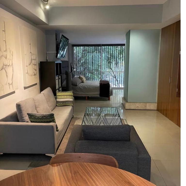 Polanco Exclusivo Loft - Apartamento de 1 dormitorio - 5