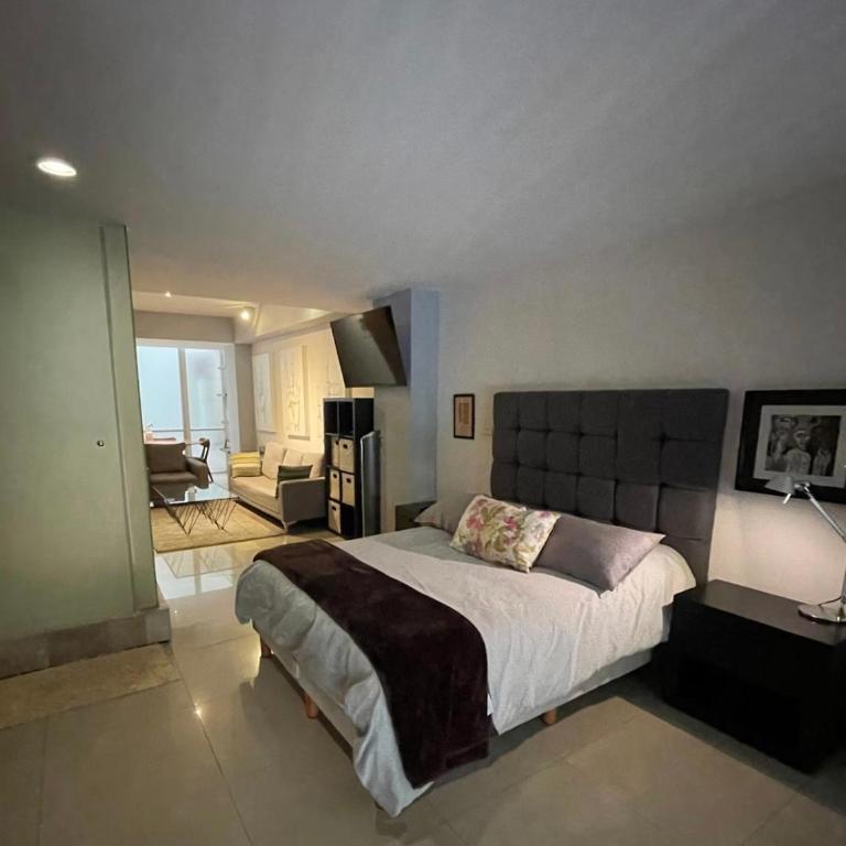 Polanco Exclusivo Loft - Apartamento de 1 dormitorio - 6